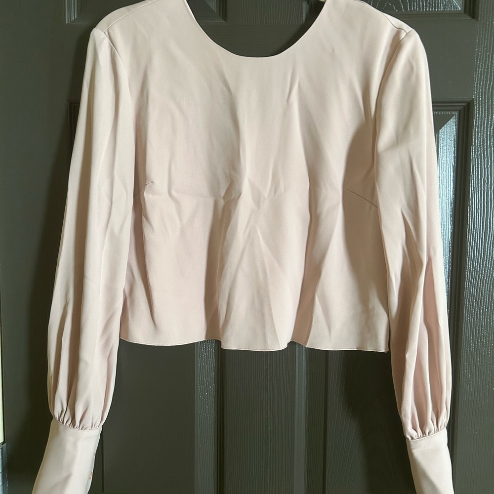 Babaton Aritzia — Creamy Pink Crop Blouse